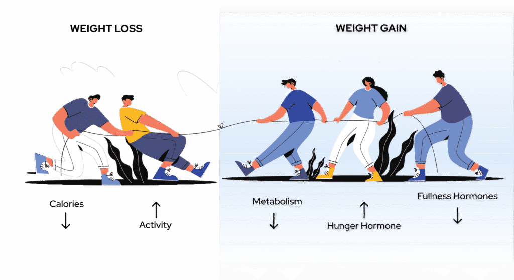 WEIGHT BALANCE